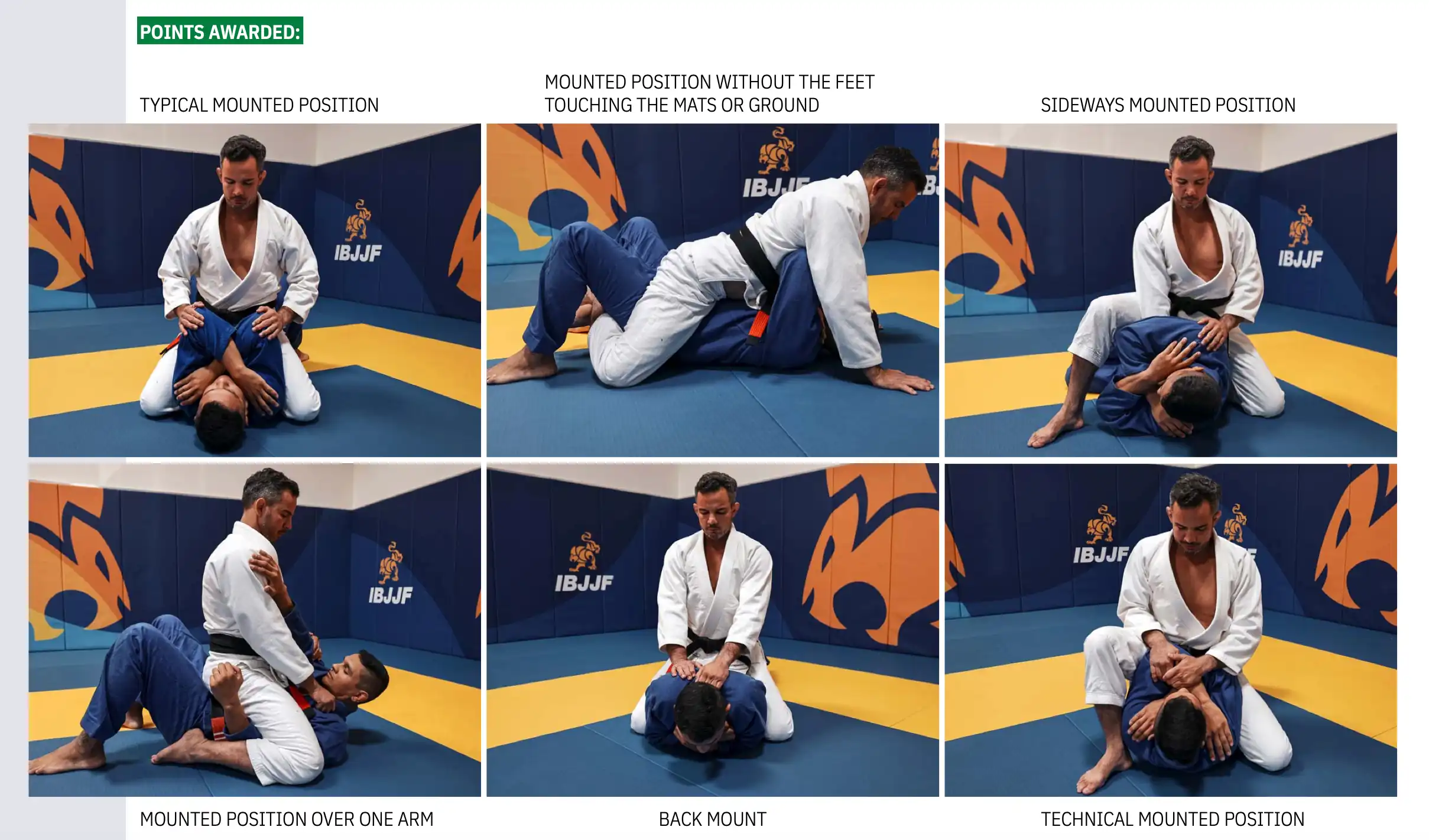 6 different versions of mount from the IBJJF rulebook