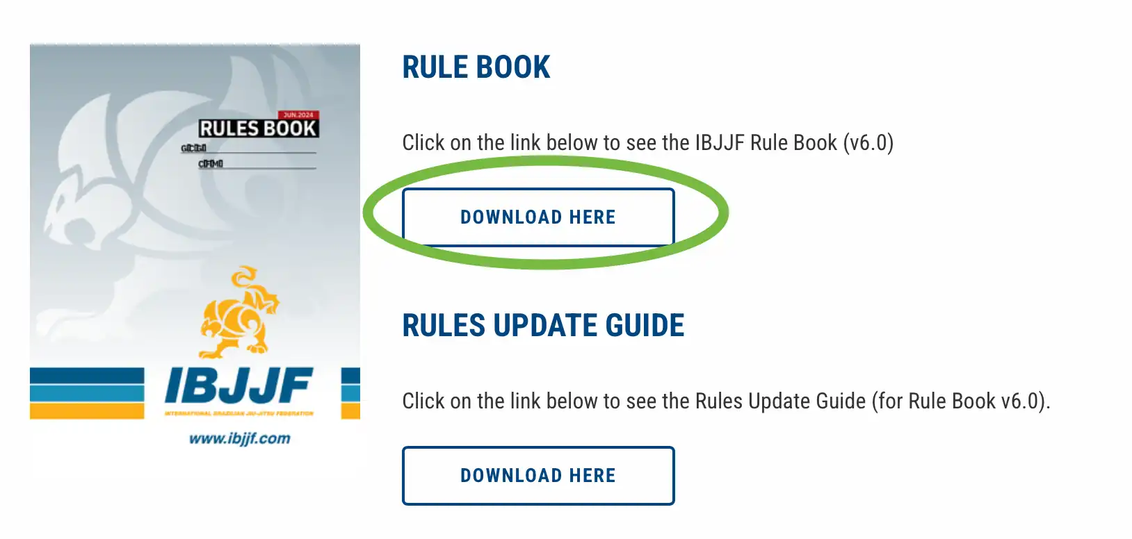 image of the IBJJF rule book