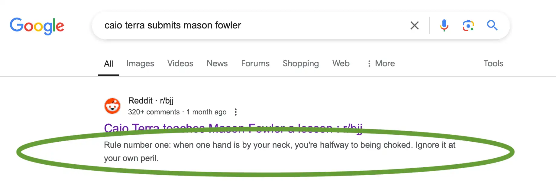 screen shot of Google showing my reddit comment “Rule number one: when one hand is by your neck, you’re halfway to being choked. Ignore it at your own peril.”